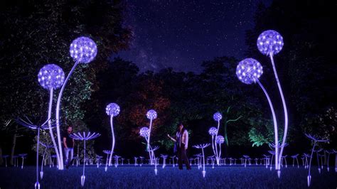 An Unforgettable Evening: Experiencing the Night Garden's Magical Light Spectacular